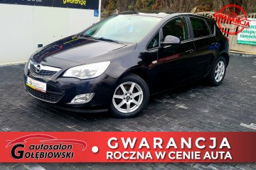 Zadbane benzyna (nr of3)